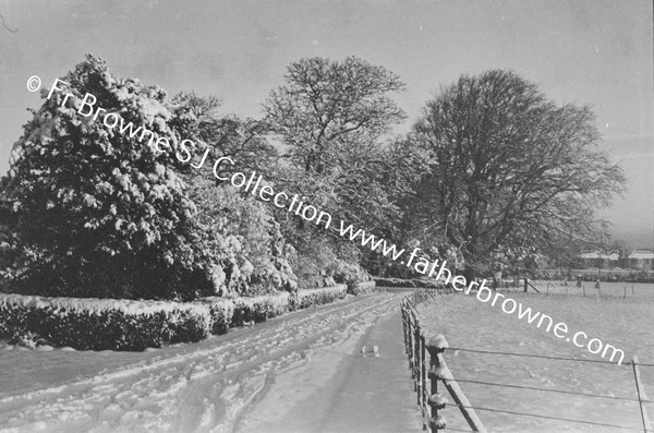 RATHFARNHAM CASTLE GROUNDS IN THE SNOW